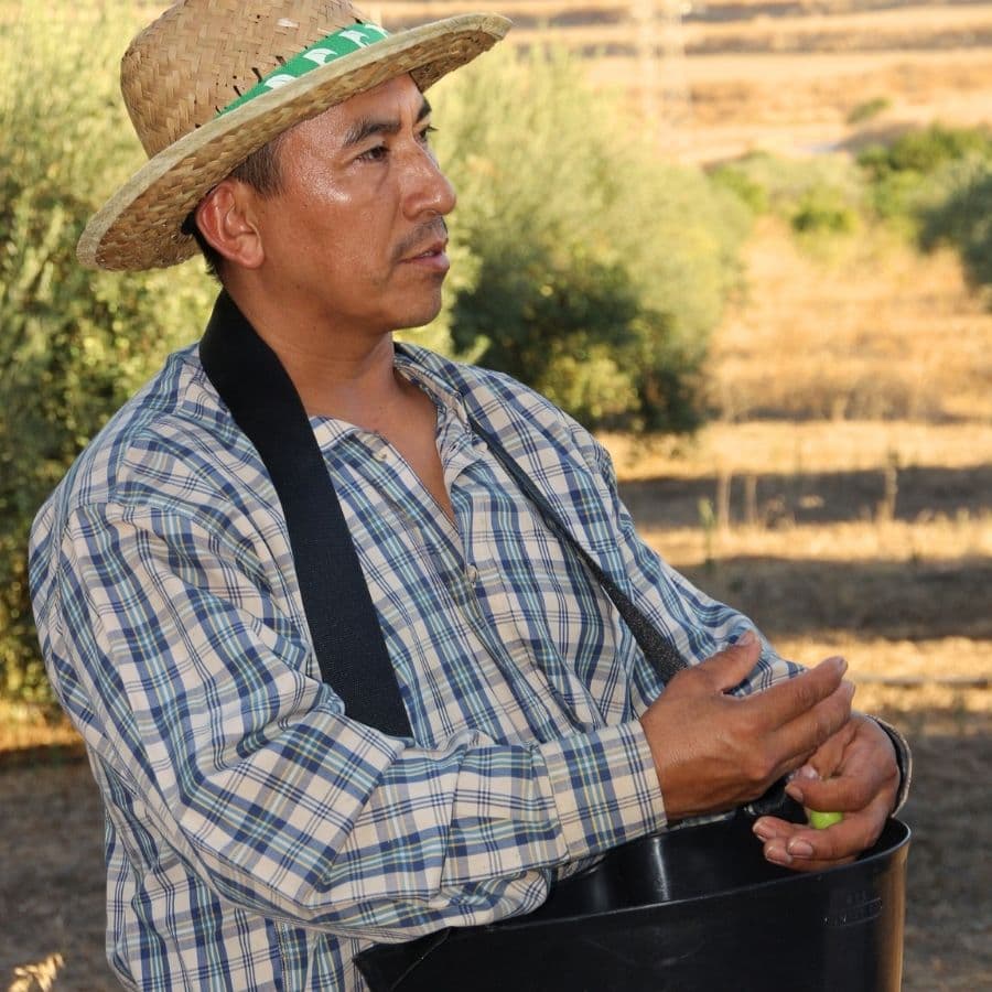 Aceites Andalucia Spanisches Öl