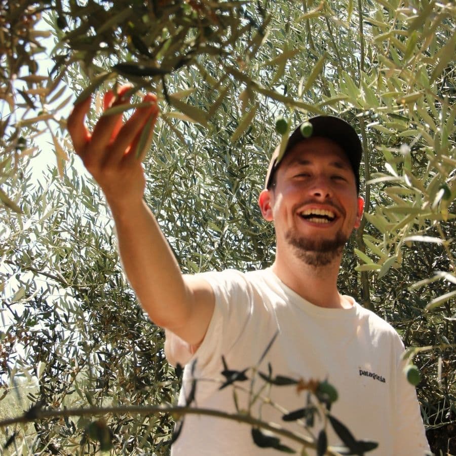 Bosse Peters Aceites Andalucía